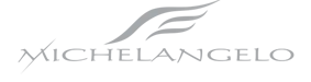 Logo Michelangelo Polska